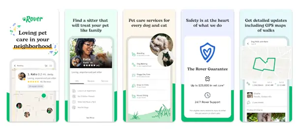 Rover app from Google Play